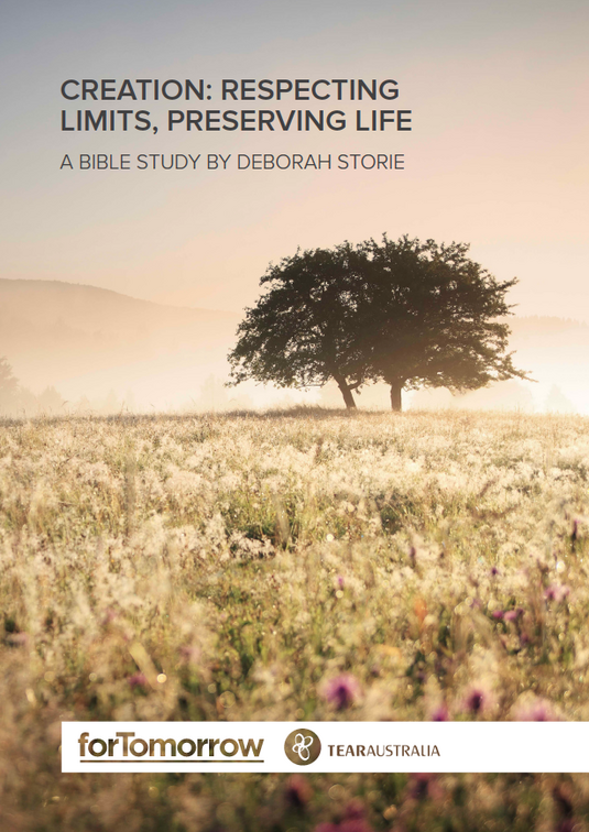 Creation Respecting Limits Deborah Storie