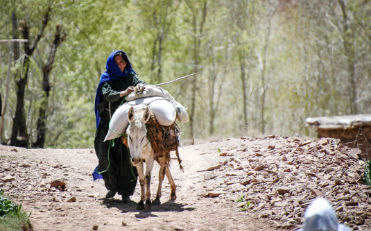 Tear Resource Imagination For Tomorrow