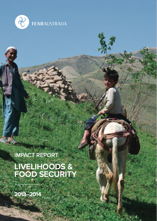 Tear Impact Report Livelihoods Food Security