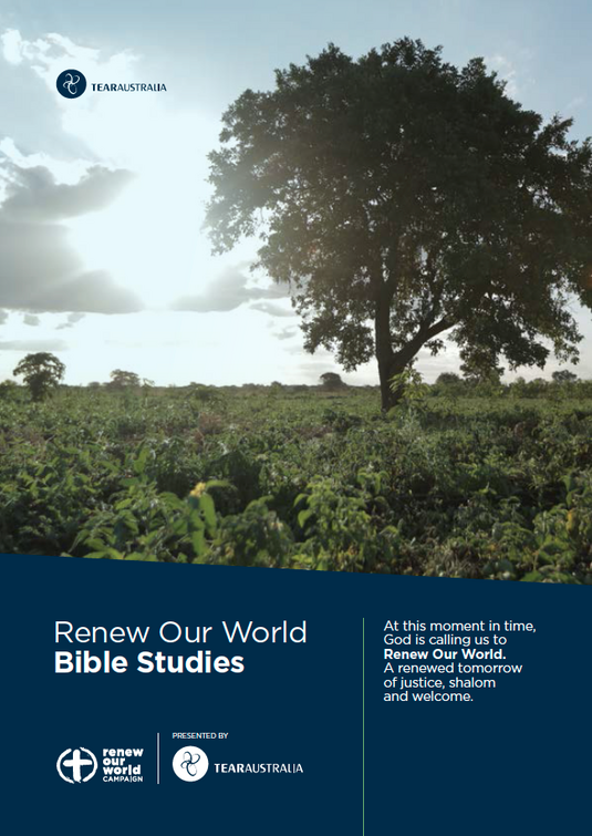 Tear Renew Our Word Bible Study Guide