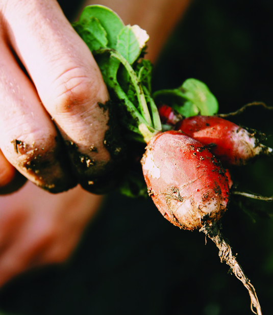 Tear Renewed Way Of Living Page 01 Image 0001